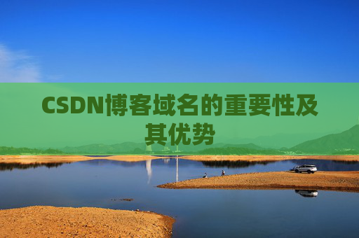 CSDN博客域名的重要性及其优势